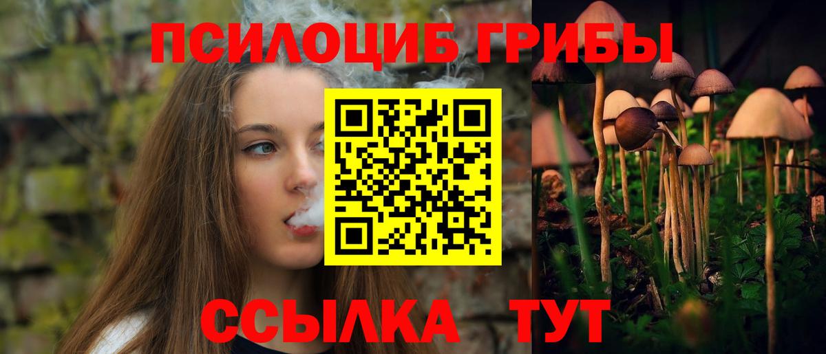 Галлюциногенные грибы Psilocybine cubensis  Вход с VPN  Ишим 