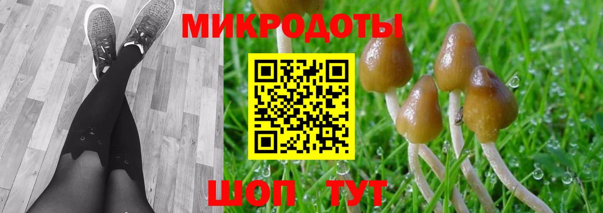 Галлюциногенные грибы GOLDEN TEACHER Ишим